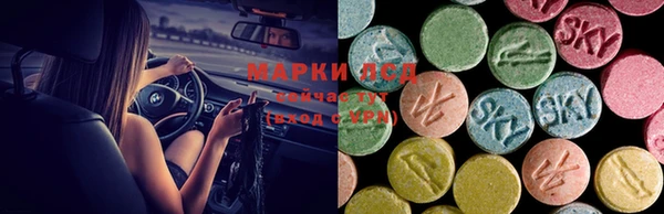 твердый Бородино