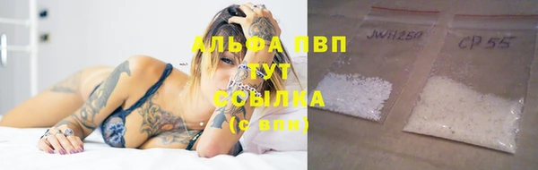 твердый Бородино