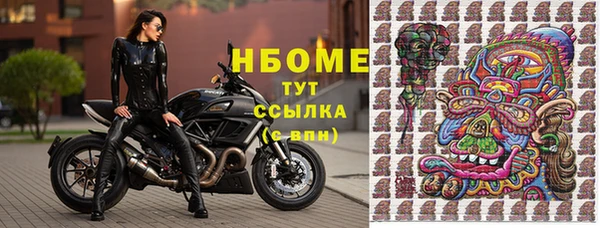 твердый Бородино