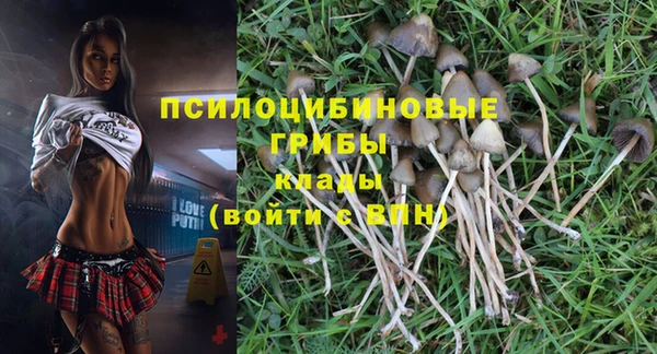 кокаин Богородицк